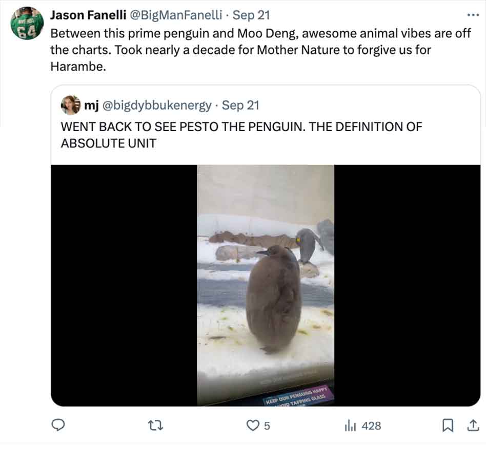 pesto penguin - screenshot - Jason Fanelli Sep 21 Between this prime penguin and Moo Deng, awesome animal vibes are off the charts. Took nearly a decade for Mother Nature to forgive us for Harambe. mj Sep 21 Went Back To See Pesto The Penguin. The Definit