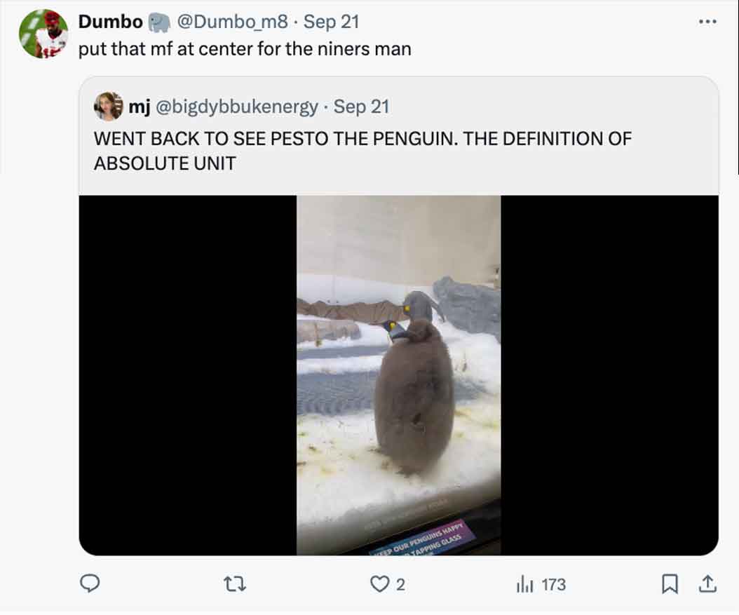 pesto penguin - screenshot - Dumbo Sep 21 put that mf at center for the niners man mj Sep 21 Went Back To See Pesto The Penguin. The Definition Of Absolute Unit 22 Ep Our Penguins Happy 2 Tapping Glass 173