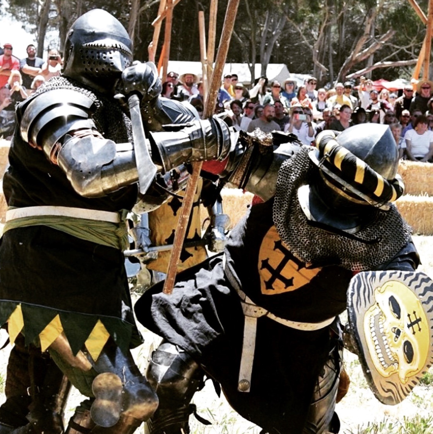 33 Painful Pics from Medieval Cage Fights