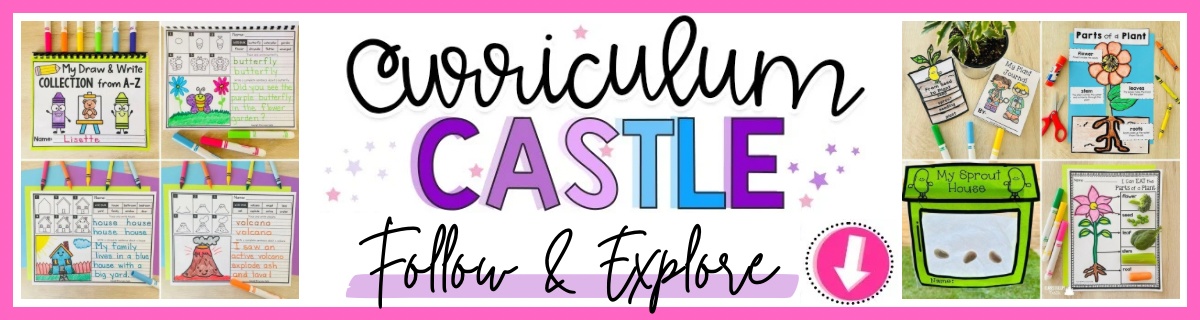 Curriculum Castle Banner