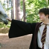 Deze magische wezens stelden teleur in 'Harry Potter'