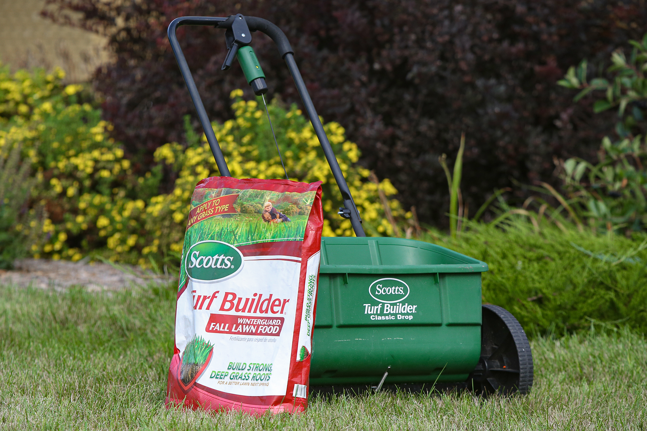 Turf research shows that Labor Day, or shortly after is the most important time of the year to fertilize lawns. A lawn seed, fertilizer spreader and a bag of lawn food. 