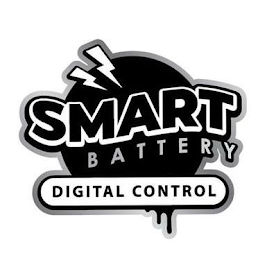 smart digital control battery