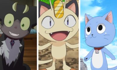 The Best Anime Cats Ranked