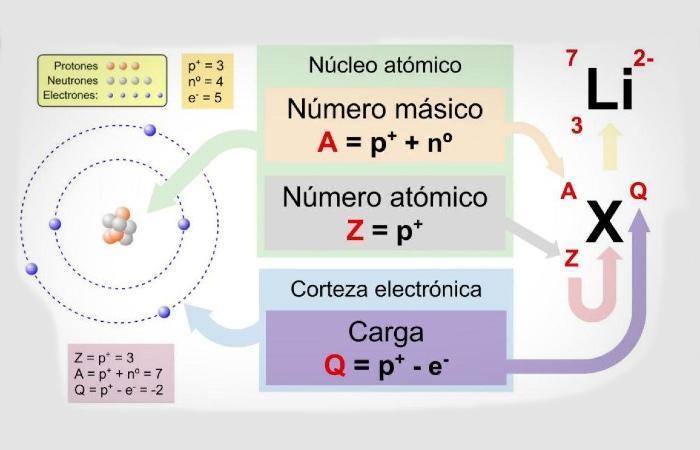 DECAIMIENTO BETA | Mind Map