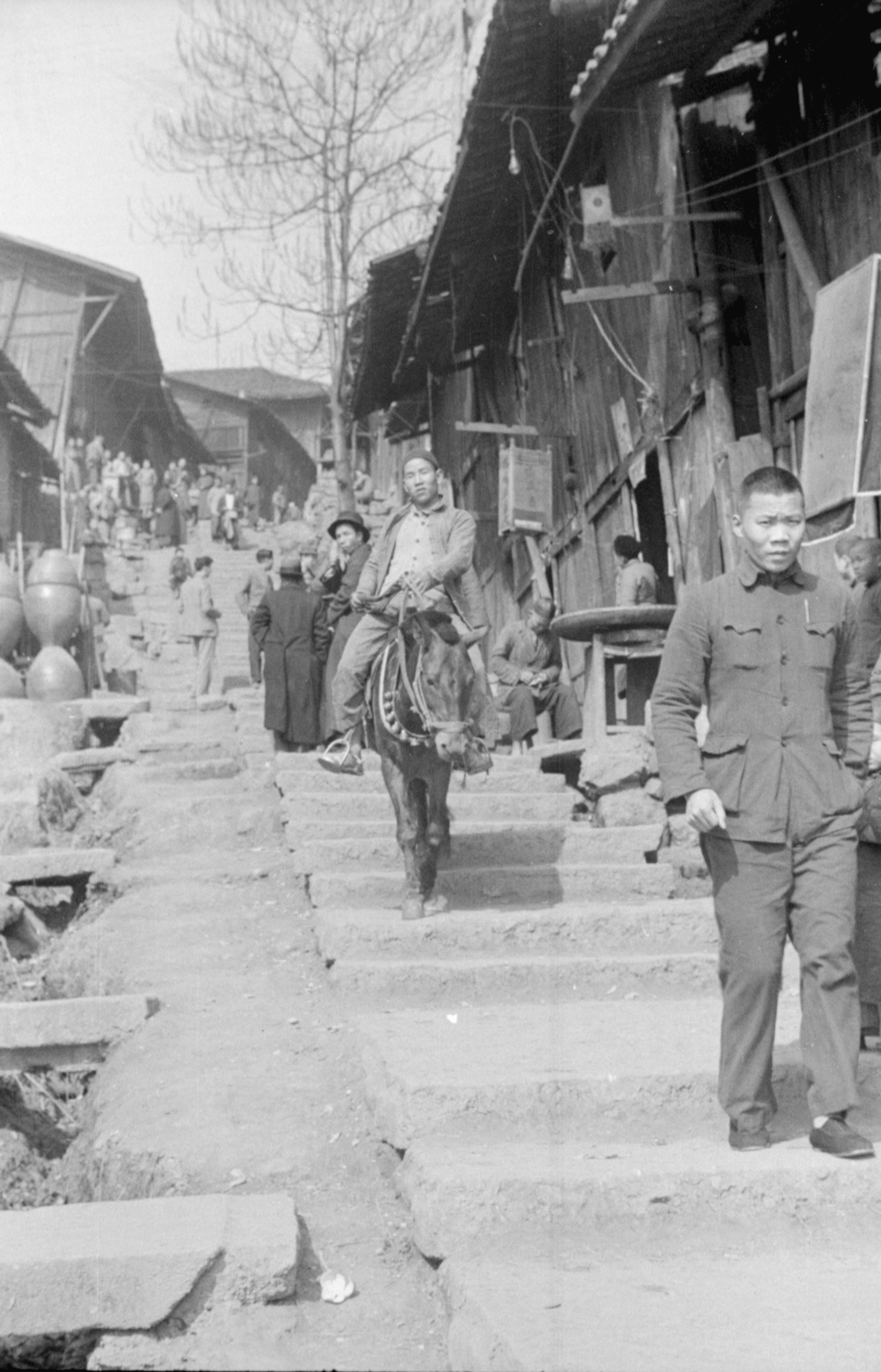 A man descends one of Chungking’s many stone staircases on a mule. Photo: A Danger Shared/Melville Jacoby