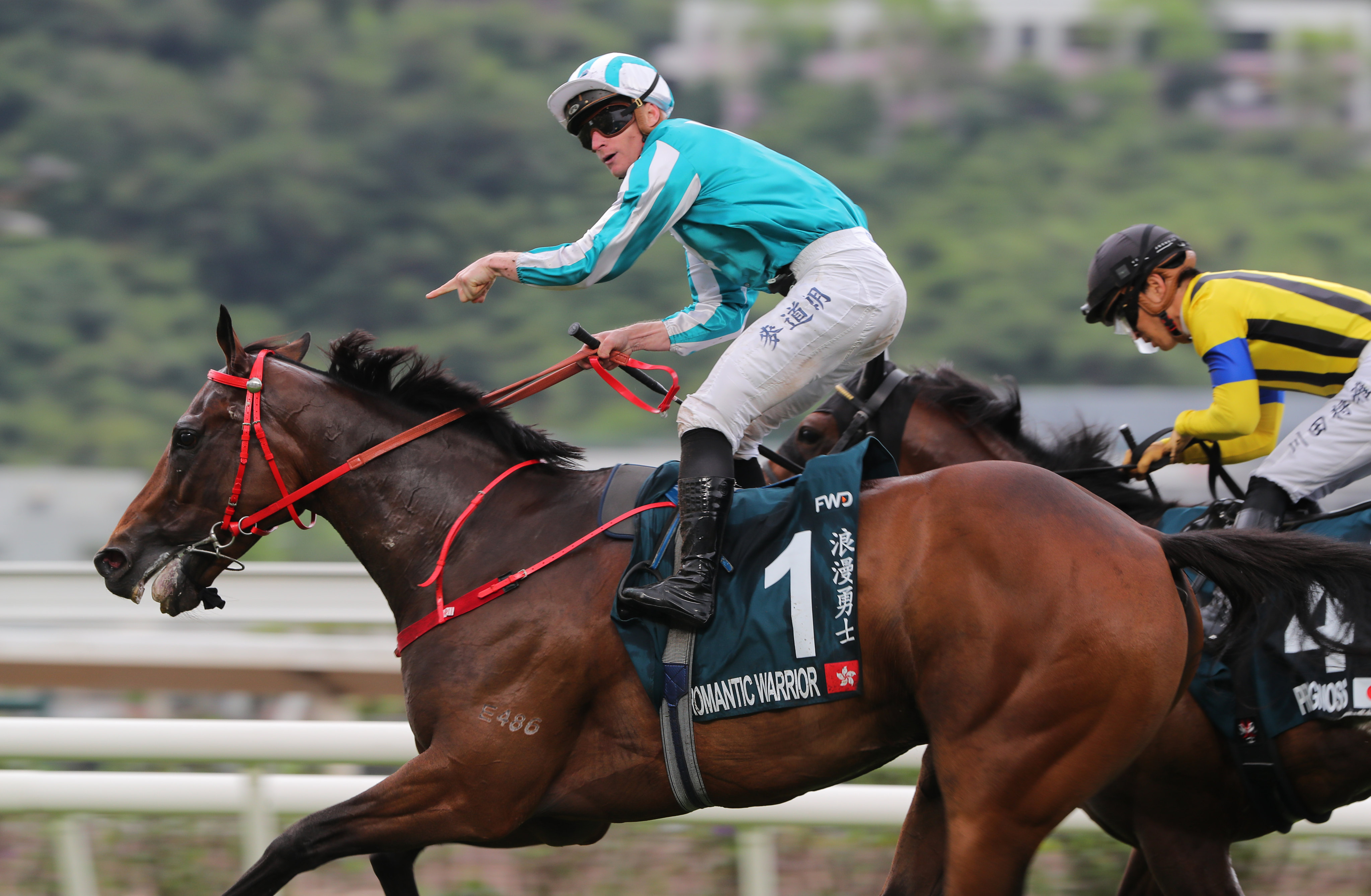 Romantic Warrior triumphs under James McDonald in last month’s Group One QE II Cup (2,000m). Photos: Kenneth Chan