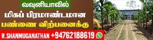 Farm For Sale With House - Vavuniya