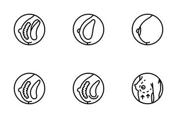 Médical - Augmentation mammaire Pack d'Icônes