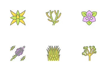 Plantas del desierto Paquete de Iconos