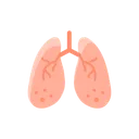 Free Anatomy Detoxification Hepatology Icon