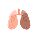 Free Anatomy Detoxification Hepatology Icon