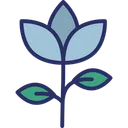 Free Bloom Blooming Flower Flower Icon