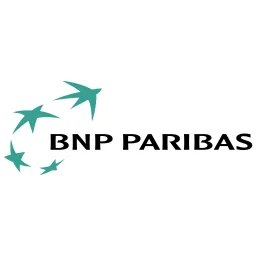 Free Bnp Logo Symbol