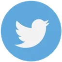 Free Twitter Google Publicidad Icono