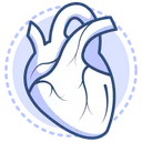 Free Heart  Icon