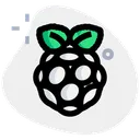 Free Raspberrypi Technology Logo Social Media Logo Icône