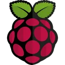 Free Raspberrypi Technology Logo Social Media Logo Icône