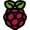 Free Raspberrypi  Icône