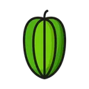 Free Fruit Nature Star Fruit Icon