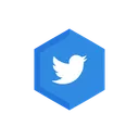 Free Twitter Redes Sociales Logotipo Icono