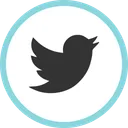 Free Twitter Media Social Icon