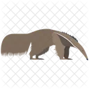 Giant Anteater Animal Wildlife Icon