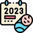 2023  Icon