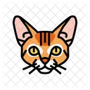 Abyssinian Cat  Icon