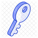 Access Key  Icon