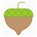 Acorn Oak Fruit Fruit Icon