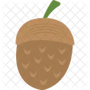 Acorn  Icon