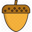 Acorn  Icon