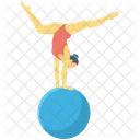 Acrobat  Icon