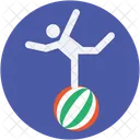 Acrobat  Icon