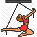 Acrobat  Icon