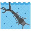 Aedes Larvae  Icon