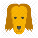 Afghan Hound dog  Icon