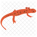 Lizard Agamidae Wild Animal Icon