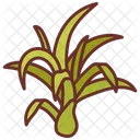 Air plant  Icon