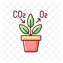 Air Purifying Plant Icon