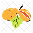 Akebia Fruit  Icon