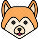 Akita  Icon