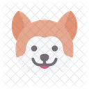 Akita  Icon