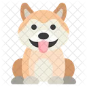 Akita Dog  Icon