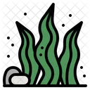 Algae  Icon