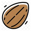 Almond  Icon