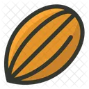 Almond Nut Icon