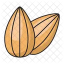 Almond Dry Fruit Icon