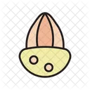 Almond Nut Seed Icon